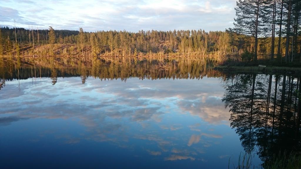 Вилла Vakantiehuis Lillstugan I Sverige Gustavsstrom Экстерьер фото